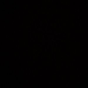 Meet your Posher, Evan